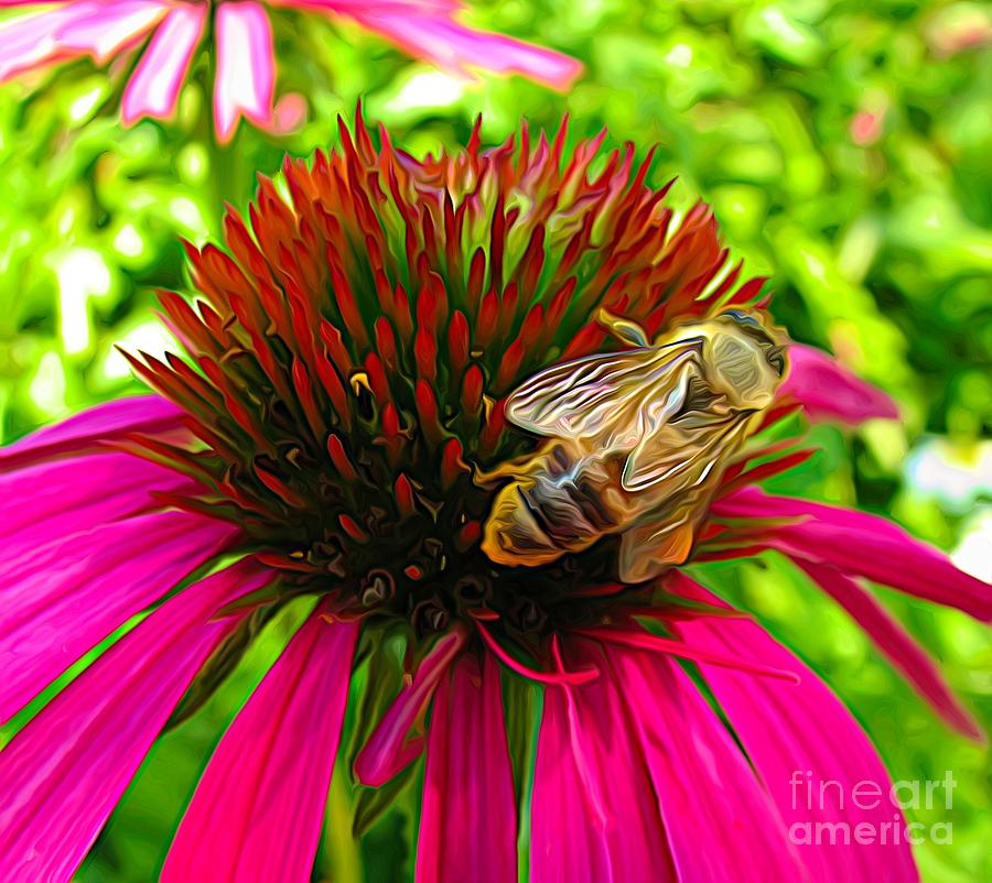 Macro Of Bee On A Fuchsia Coneflower Expressionist Effect Photograph