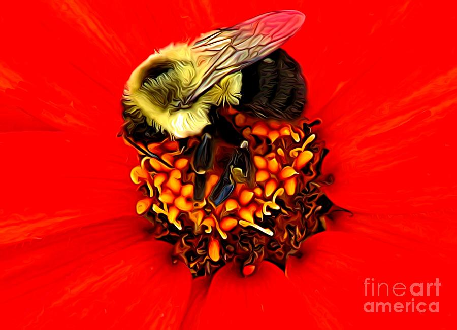 Macro of Bee on a Red Zinnia Flower Expressionist Effect Photograph by Rose Santuci-Sofranko