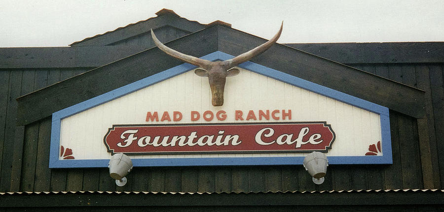 Mad Dog Ranch Painting by Jeff Sartain