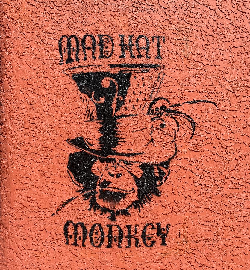 Mad Hat Monkey Photograph by Lenore Senior