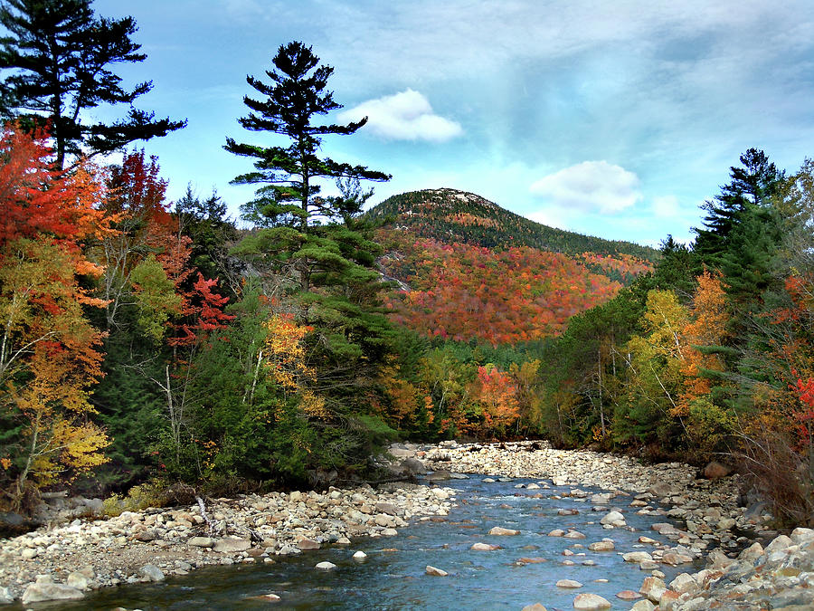Mountain Photograph - Mad River by Welch and Dickey  by Nancy Griswold
