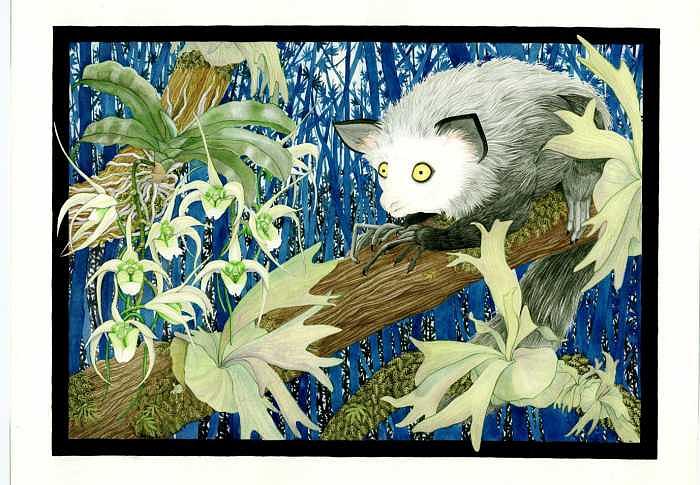 Aye-aye Painting - Madagascar by Darren James Sturrock Aye-aye Painting - Madagascar by Darren James Sturrock
