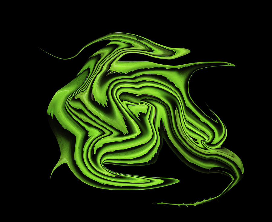 Madagascar Green Dragon Digital Art by Robert Woodward