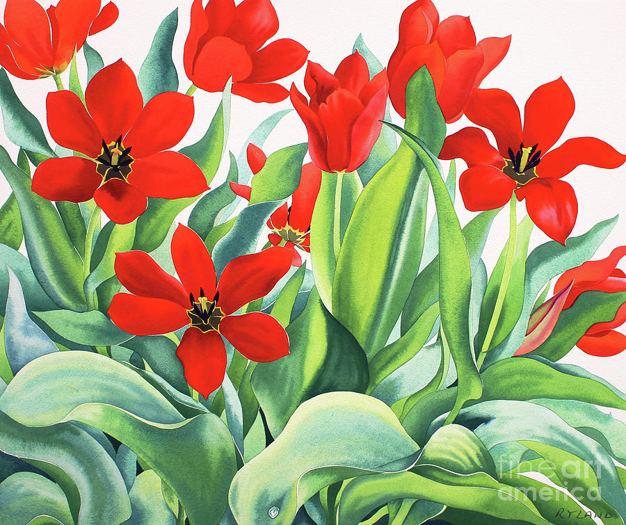 Madame Lefeber Tulips  Painting by Christopher Ryland