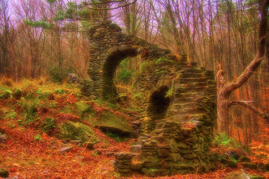 Madame Sherri Castle Ruins Photograph