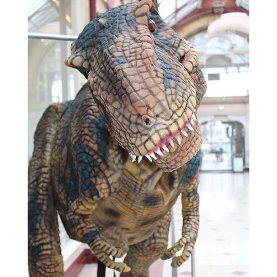 Dinosaur Photograph - Made A New Friend Today #dinosaur by Joanne Dewberry