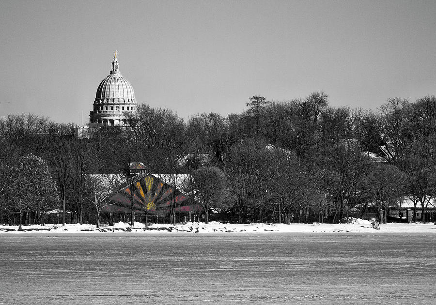 Madison Capitol and Zoo 3 Photograph by Steven Ralser