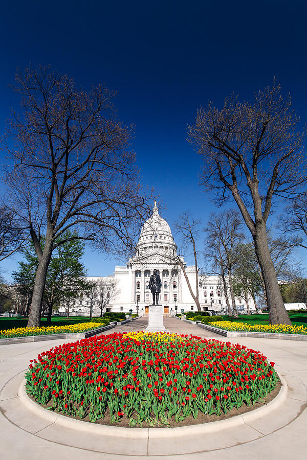 Madison Capitol Tulips Photograph by Todd Klassy