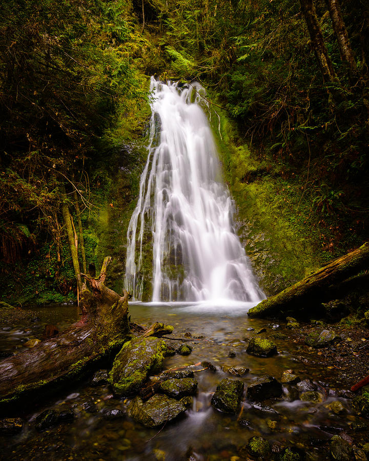 Madison Creek Falls Photograph by Mark Rogers