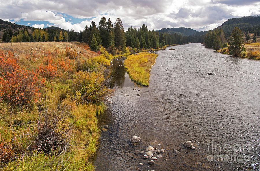 Madison River Photograph by Cindy Murphy - NightVisions