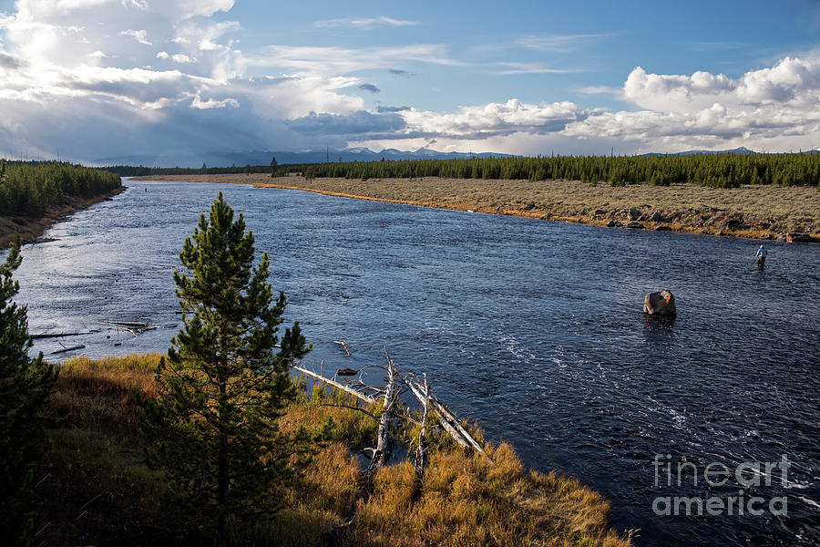 Madison River in Yellowstone National Park Photograph by Cindy Murphy - NightVisions