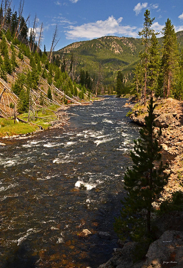 Madison River - Yellowstone 003 Photograph by George Bostian