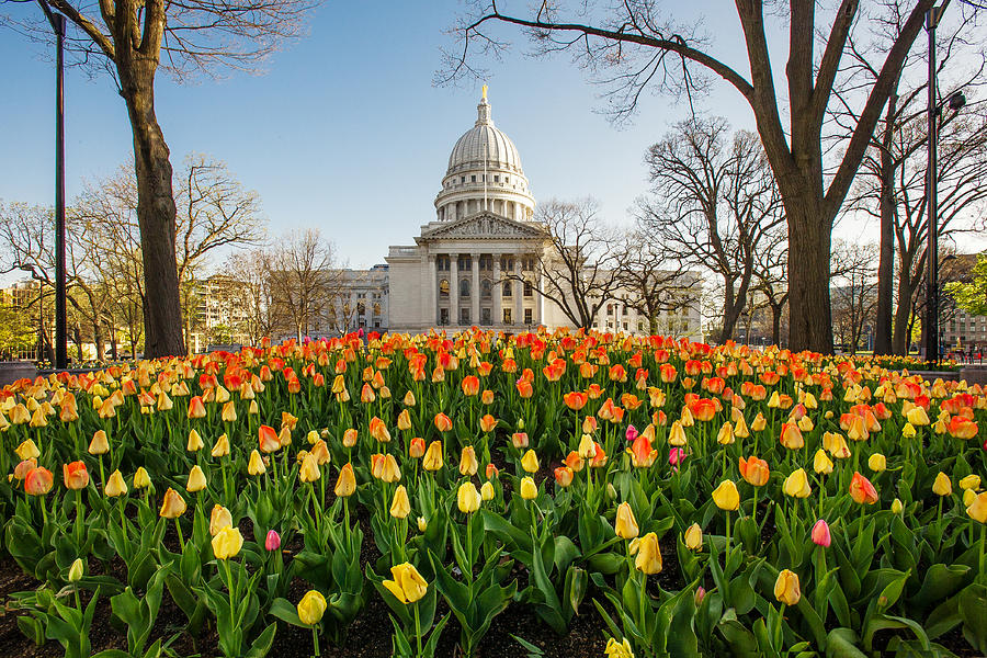 Madison Spring Photograph by Todd Klassy