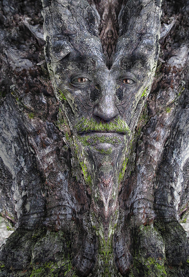 Madoak Greenbeard Digital Art by Rick Mosher