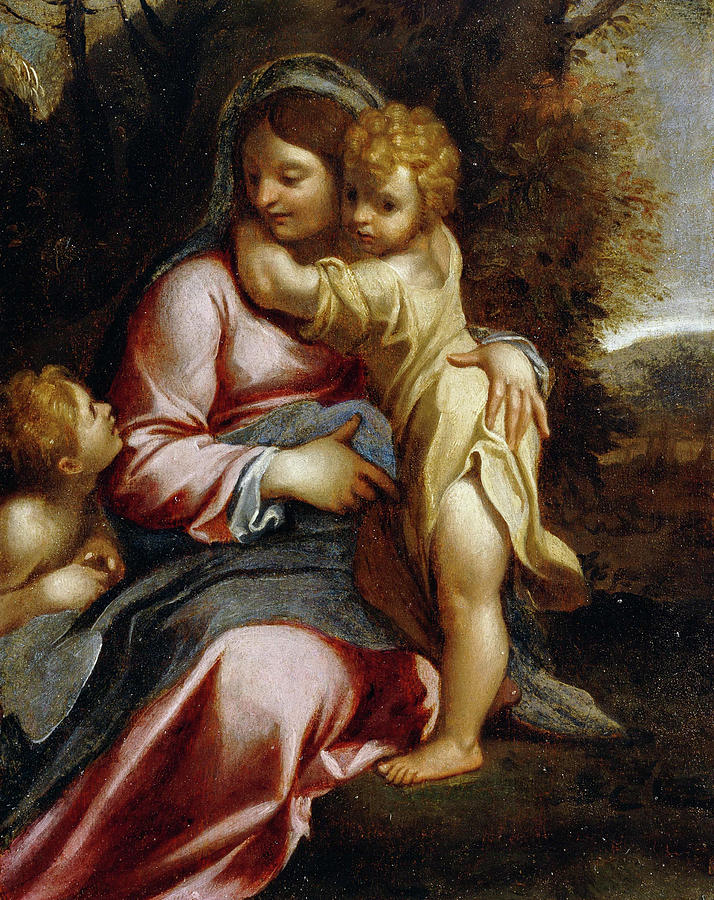 Annibale Carracci Painting - Madonna and Child with Saint John by Annibale Carracci