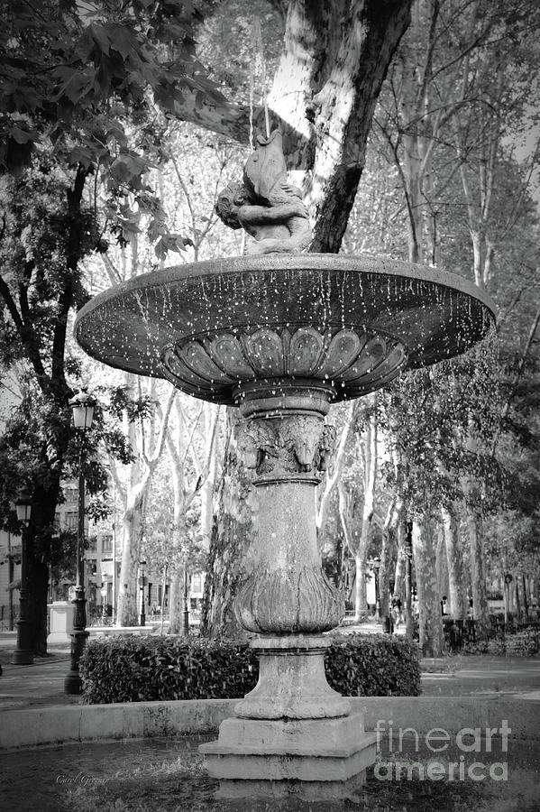 Madrid Merboy Fountain Black and White Photograph by Carol Groenen