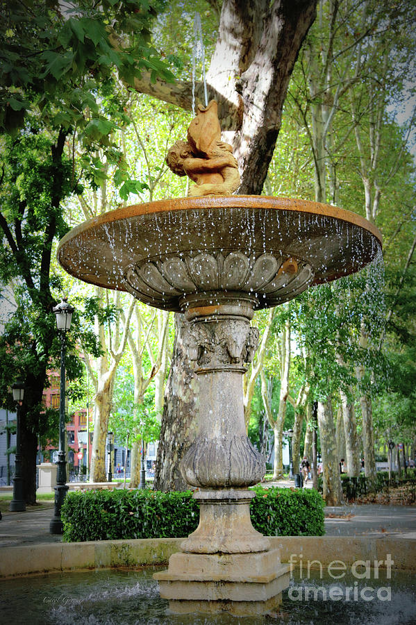 Madrid Merboy Fountain Photograph by Carol Groenen