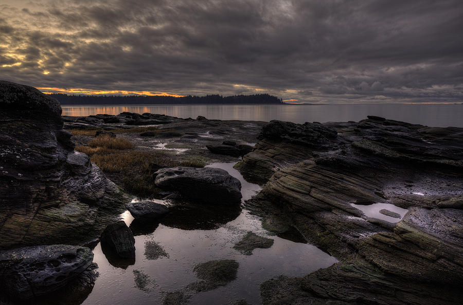 Landscape Photograph - Madrona Evening 2 by Randy Hall