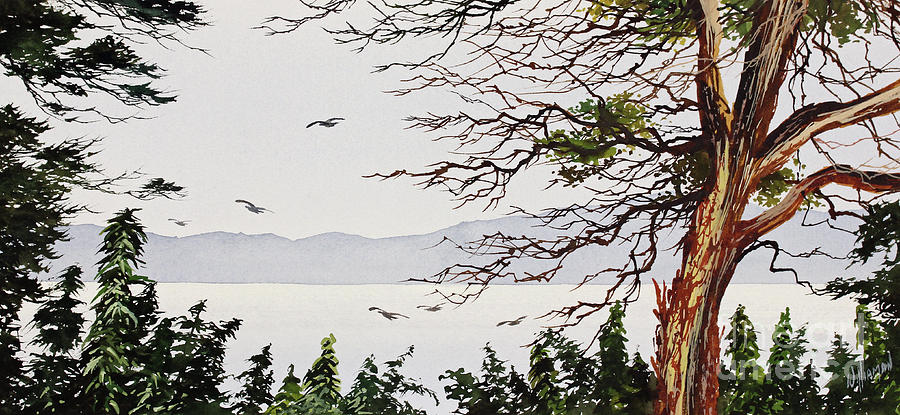 Madrona Island Painting by James Williamson
