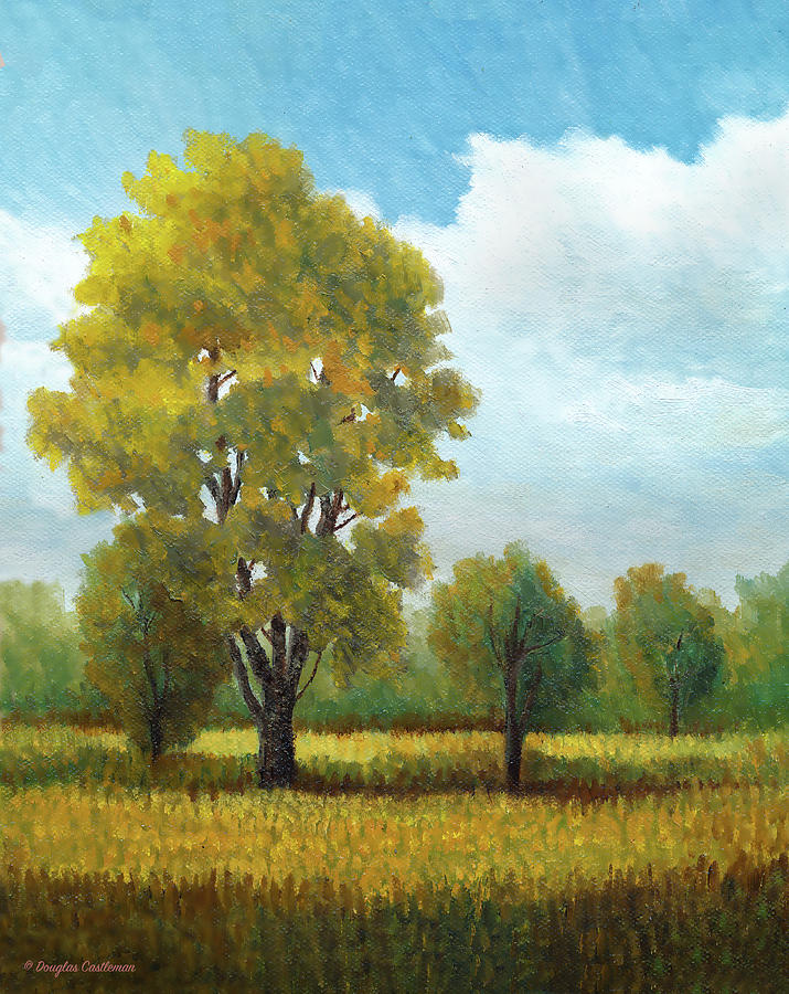 Madrona Marsh Trees Plein Air Painting by Douglas Castleman
