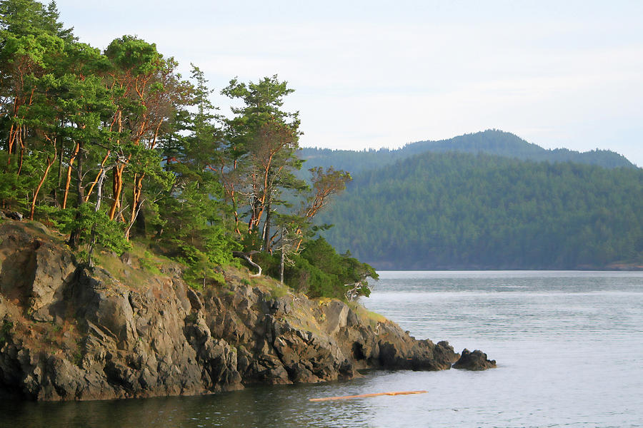 Islands Photograph - Madrone Trees - San Juan Islands by Art Block Collections