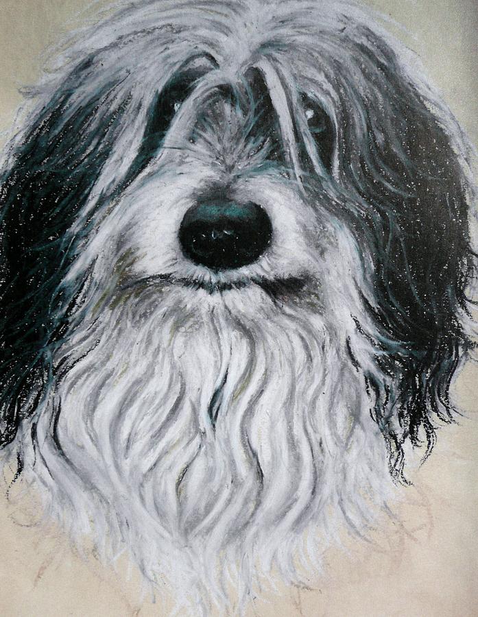 Dog Drawing - Madul by Monika Szewczyk