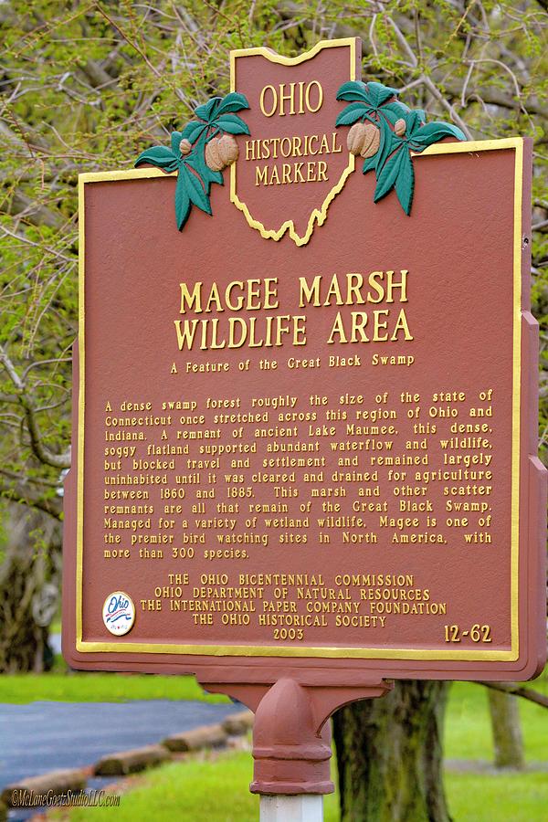 Magee Marsh Wildlife Area Photograph by LeeAnn McLaneGoetz McLaneGoetzStudioLLCcom