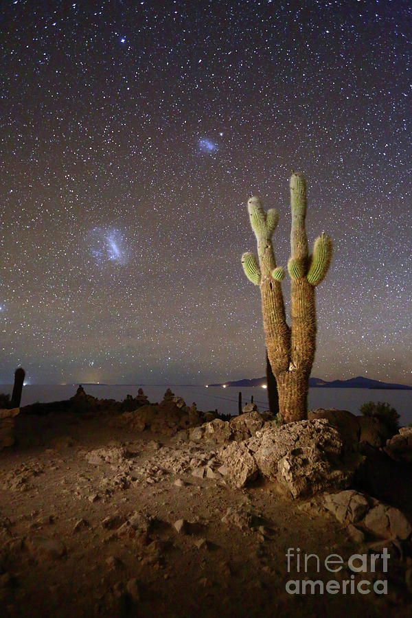 Magellanic Clouds and Forked Cactus Incahuasi Island Bolivia Photograph by James Brunker