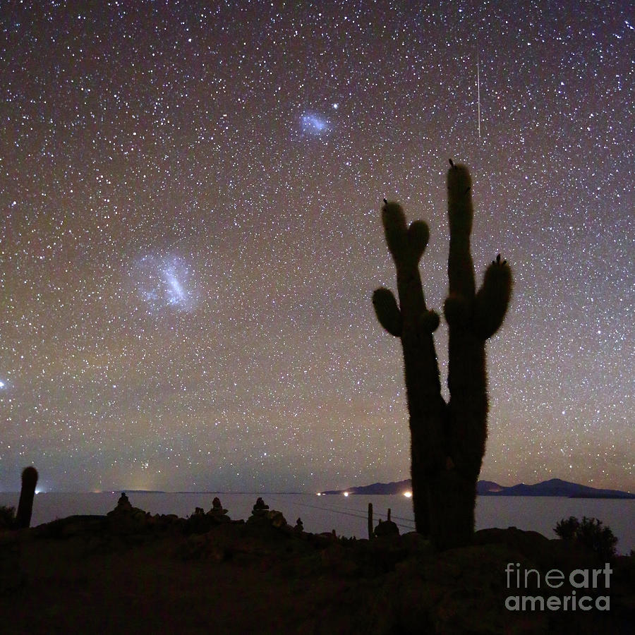 Magellanic Clouds and Forked Cactus Silhouette Salar de Uyuni Bolivia Photograph by James Brunker