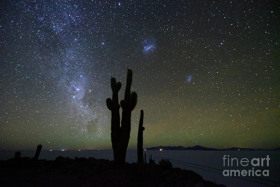 Magellanic Clouds Milky Way and Cactus Silhouette Incahuasi Island Bolivia Photograph by James Brunker