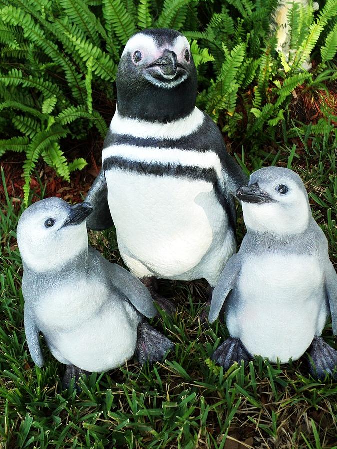Penguin Sculpture - Magellanic Penguin and Chicks V by Chris Dixon
