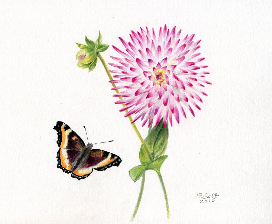 magenta dahlia with butterfly by Penrith Goff magenta dahlia with butterfly by Penrith Goff