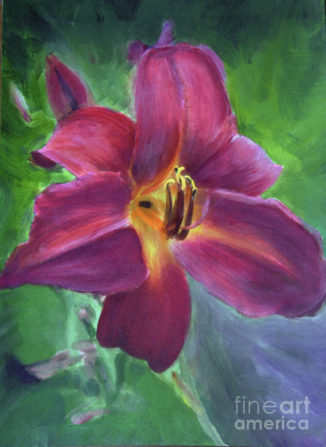 Magenta Daylily Painting by Donna Walsh