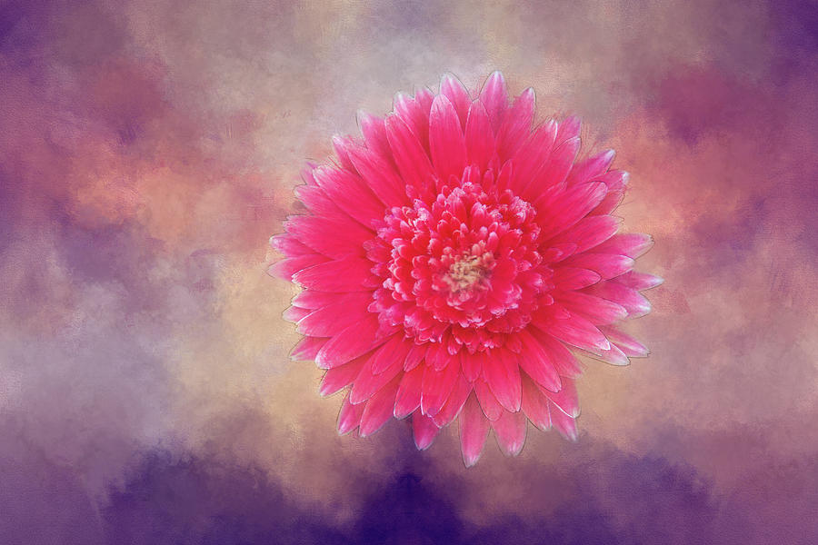 Magenta Flower Beauty Digital Art by Terry Davis