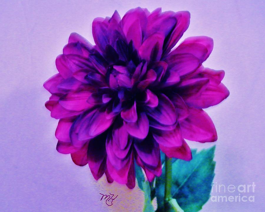 Magenta Purple Petals Digital Art by Marsha Heiken