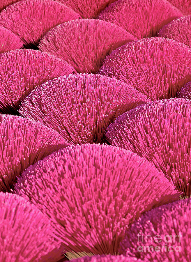 Magenta Photograph - MAGENTA SOUND of ASIA by Silva Wischeropp Magenta Photograph - MAGENTA SOUND of ASIA by Silva Wischeropp