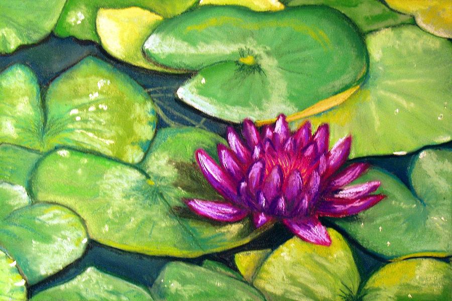 Magenta Waterlily Painting by Donna Chambers
