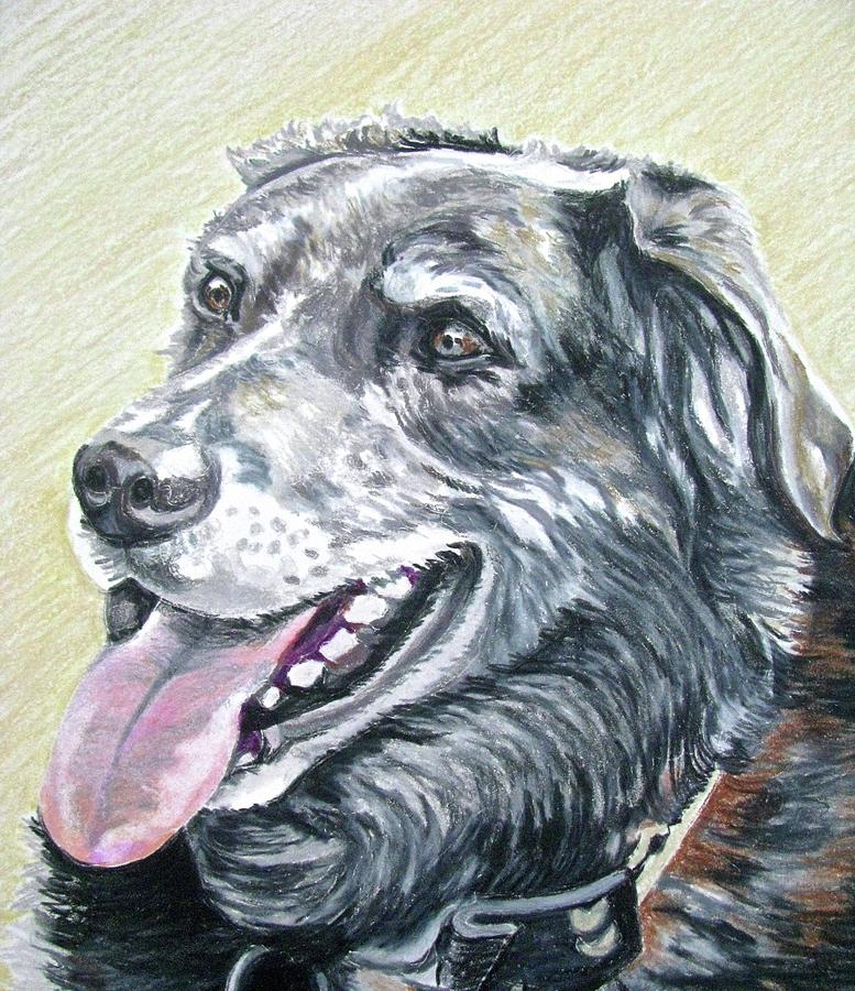 Maggie Drawing by Linda Williams