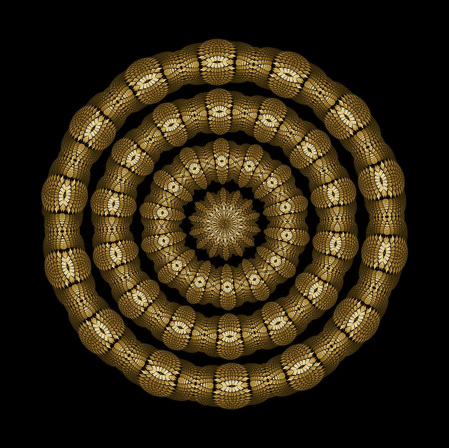 Magic Brass Rings Digital Art by Doug Morgan