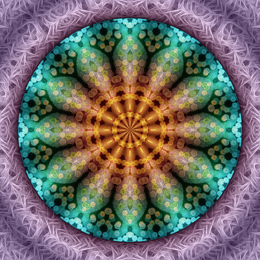 Magic Carpet Flower Digital Art by Becky Titus