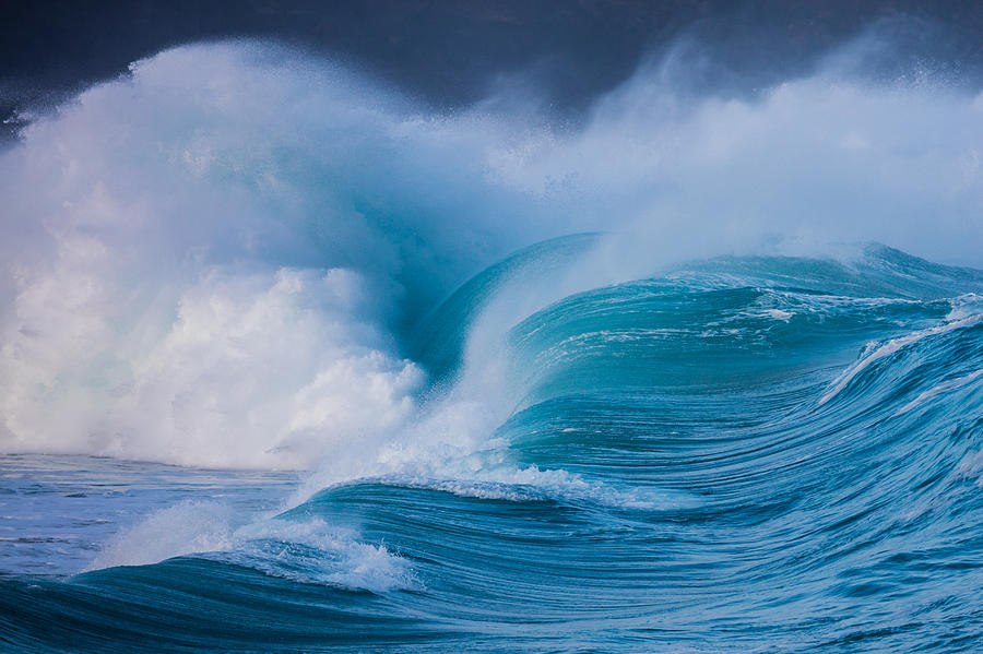 Magic Carpet Photograph by Grant Taylor