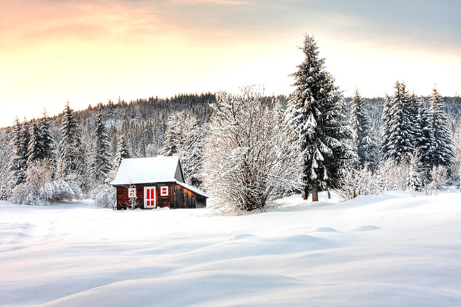 Winter Photograph - Magic by Gabriela Insuratelu