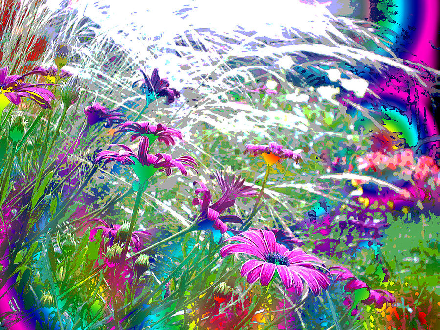 Magic Garden Photograph by Susan Baker