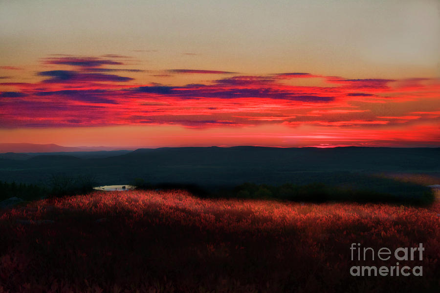 Magic hour at Dolly Sods on Canyon Rim Trail Photograph by Dan Friend