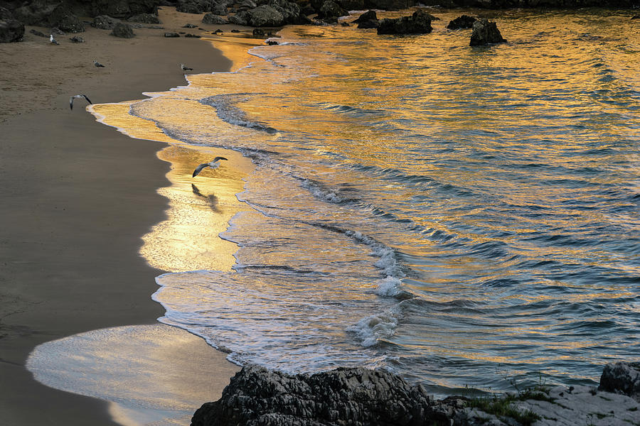Magic Hour Golden Waves and Seagulls Photograph by Georgia Mizuleva