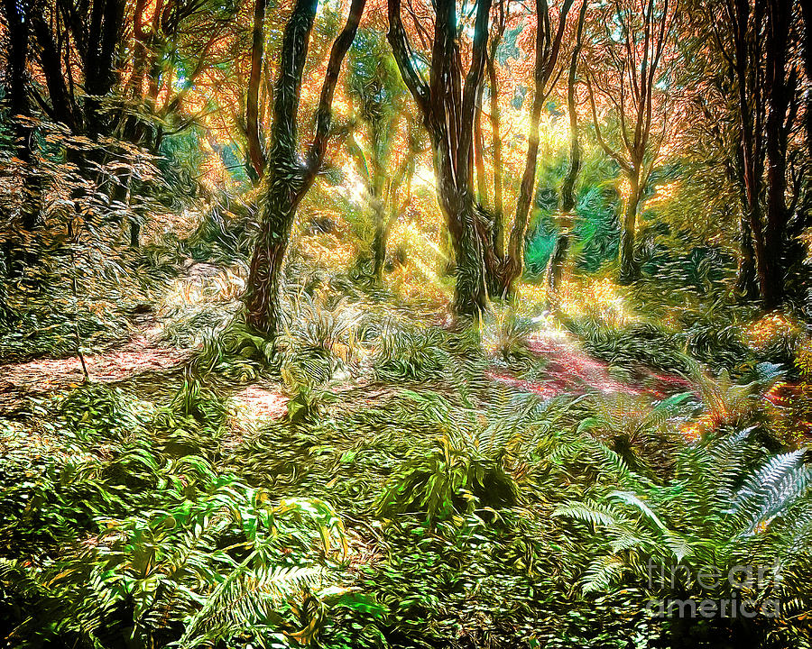 Magic in the Woods Photograph by Edmund Nagele FRPS