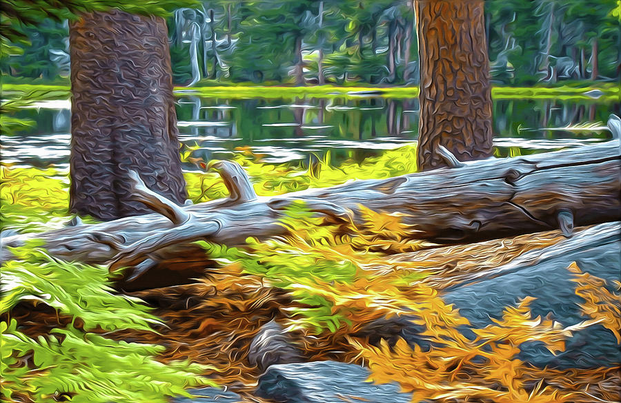 Magic Light Lake by Frank Lee Hawkins Magic Light Lake by Frank Lee Hawkins