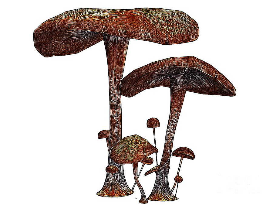 Magic Mushrooms, Digital Art by Mb Digital Art by Esoterica Art Agency