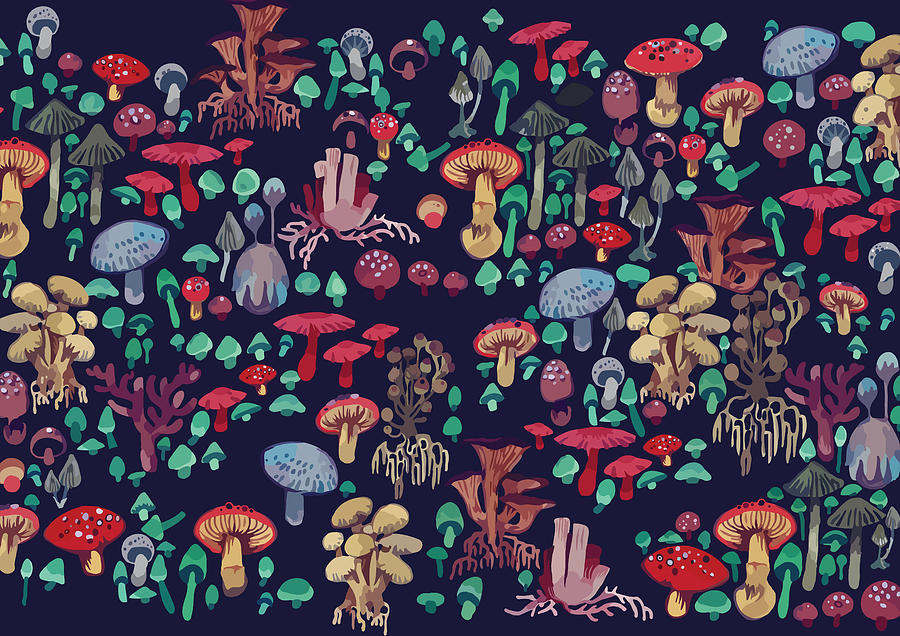 Magic mushrooms pattern Digital Art by Alexandra Kalenskaya - Fine Art ...