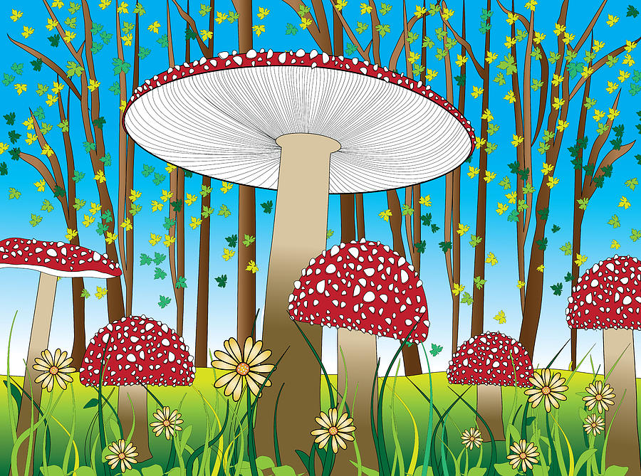 Magic Mushrooms Digital Art by Serena King